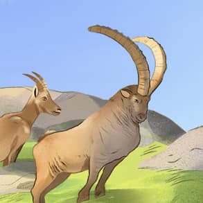 Quiz nature : la montagne