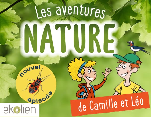 Podcast : nouvel épisode