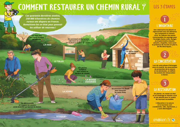 Comment restaurer un chemin rural ?