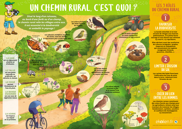 Un chemin rural, c’est quoi ?
