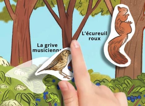 Ton décor à compléter : le chemin rural