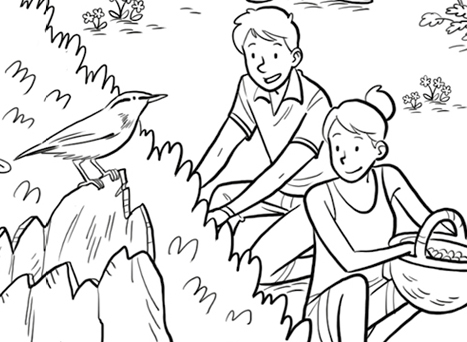 Ton coloriage Vive la cueillette !